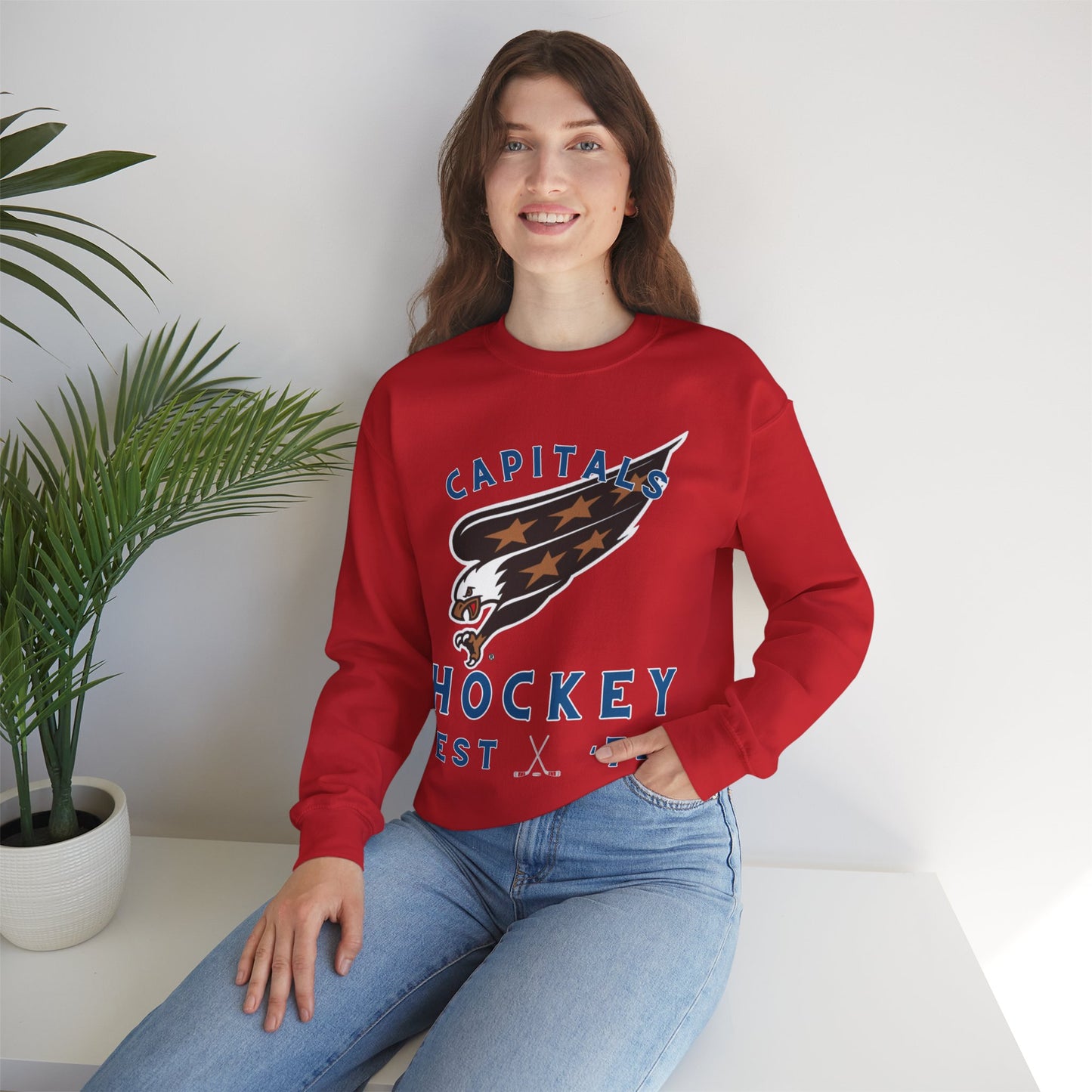 Capitals Hockey Sweatshirt, Washington DC Hockey Shirt, Capitals Retro Hockey Sweatshirt, Throwback Capitals Gear, NHL Hoodie